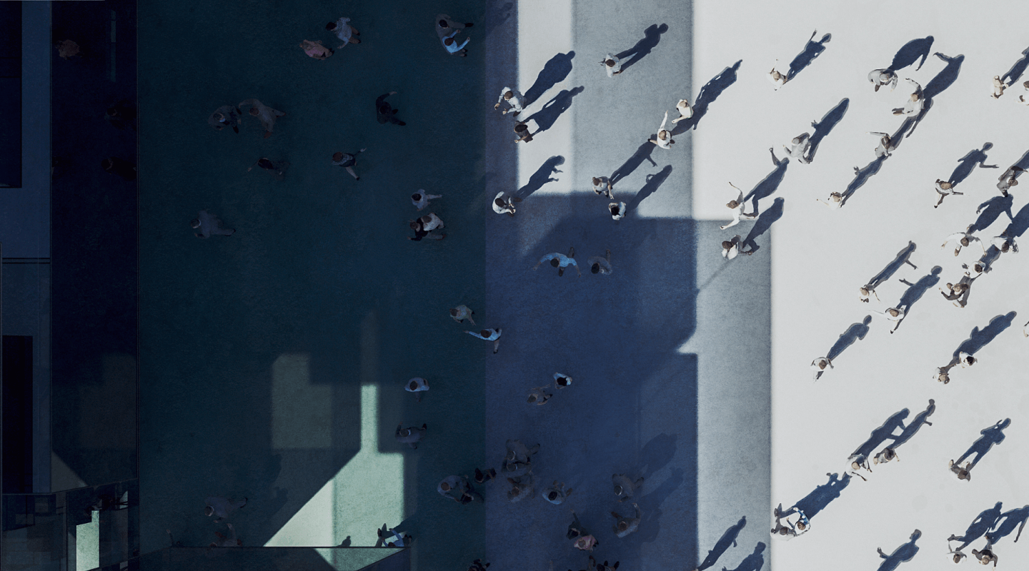 Professional Liability